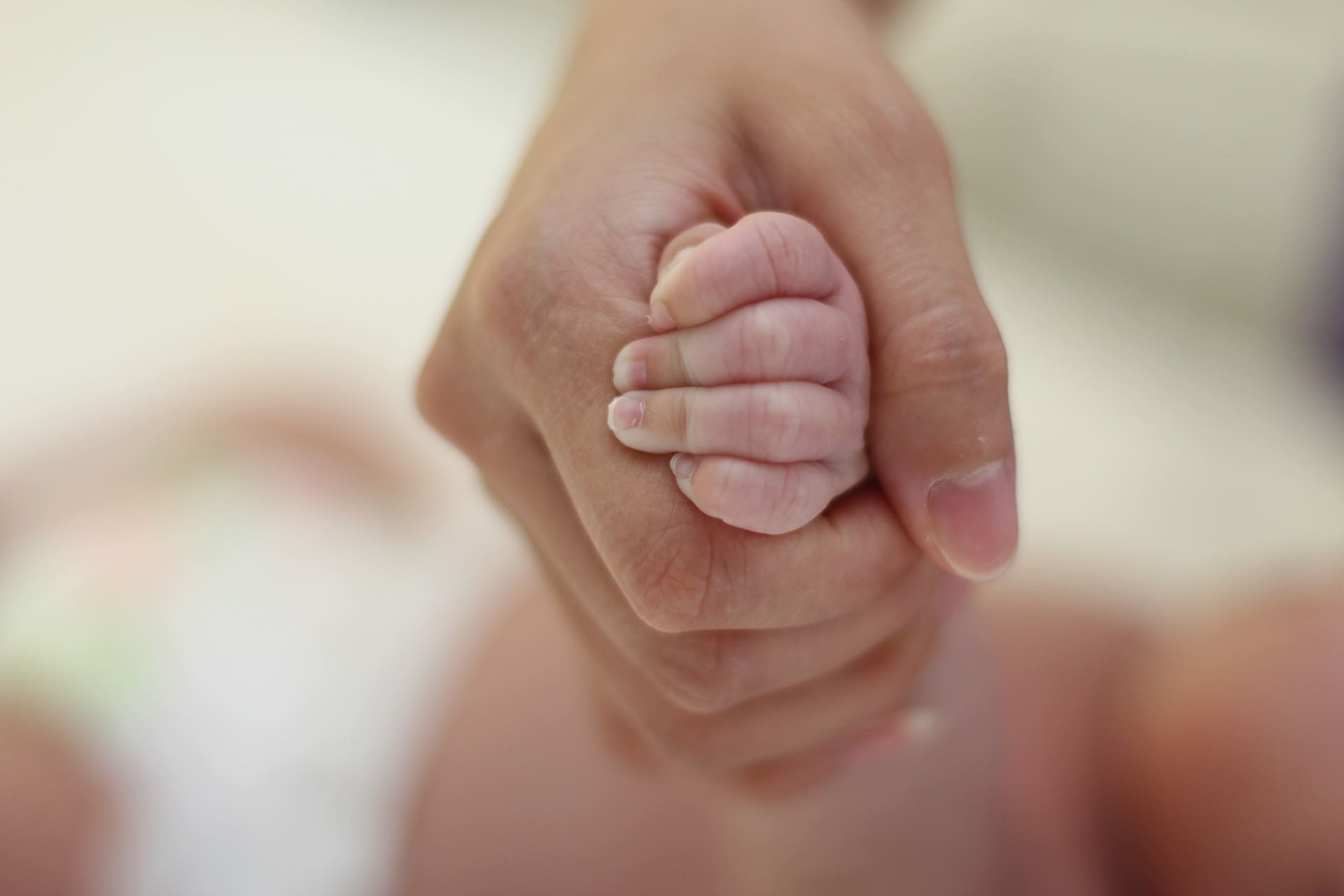 hands-2545754_1920 